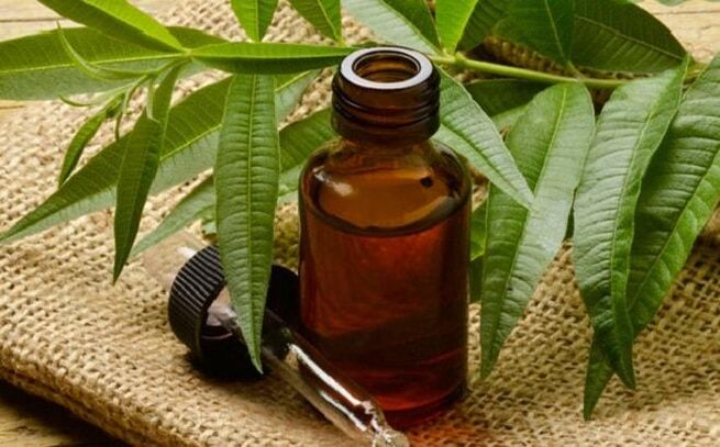 Tea tree oil - a popular remedy to get rid of warts on the penis