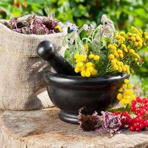 herbs for the treatment of papillomas