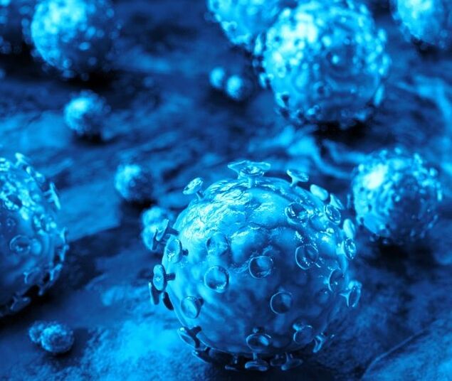 Causes of the formation of warts